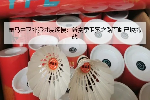 皇马中卫补强进度缓慢：新赛季卫冕之路面临严峻挑战